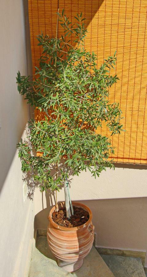 Elena 3 Apartment Kavala Exterior photo